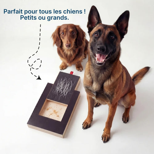 La planche qui transforme l'entretien des griffes en moment de jeu