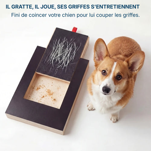 La planche qui transforme l'entretien des griffes en moment de jeu