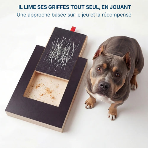 La planche qui transforme l'entretien des griffes en moment de jeu