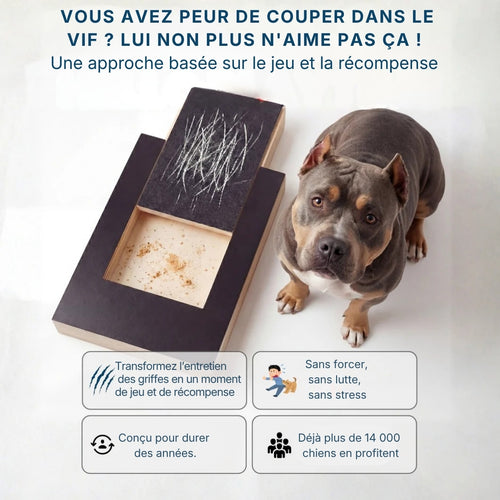 La planche qui transforme l'entretien des griffes en moment de jeu